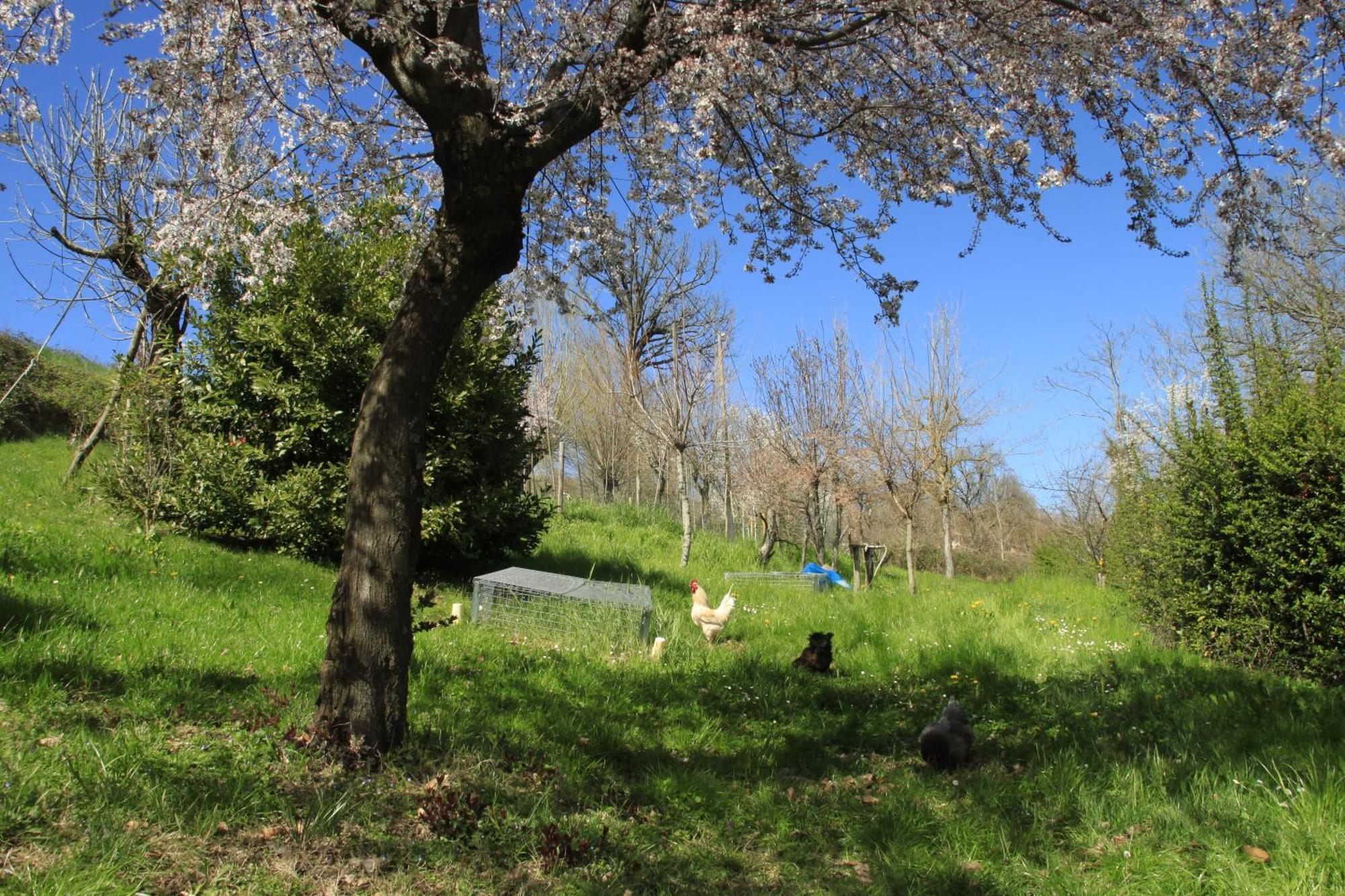 B&B Ride Appennino Montefiorino Buitenkant foto